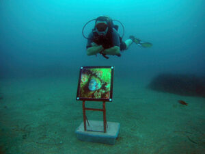 Exposición Submarina de Fotografía Submarina